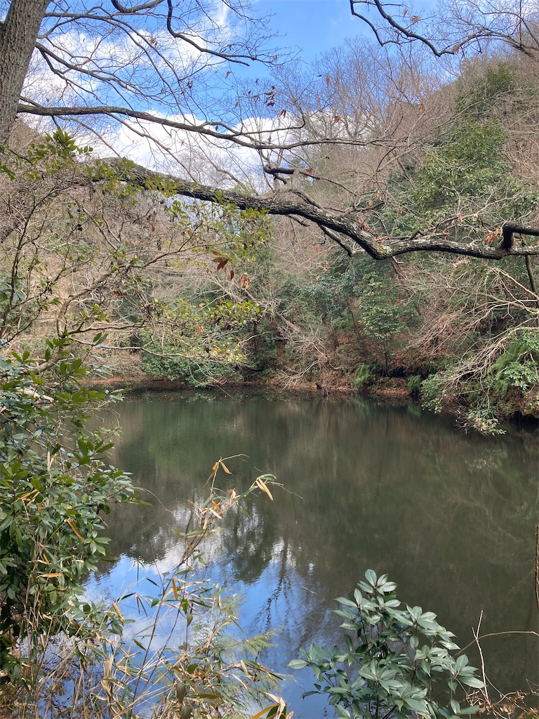 f:id:michiko_0609:20250131214415j:image