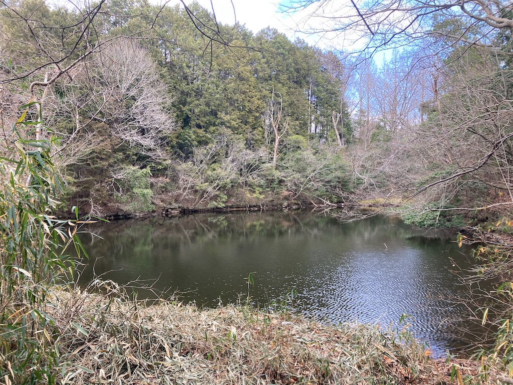 f:id:michiko_0609:20250131214439j:image