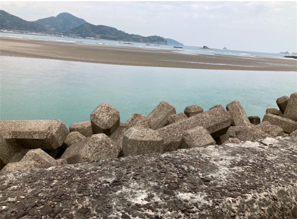 f:id:michiko_0609:20250202075417j:image