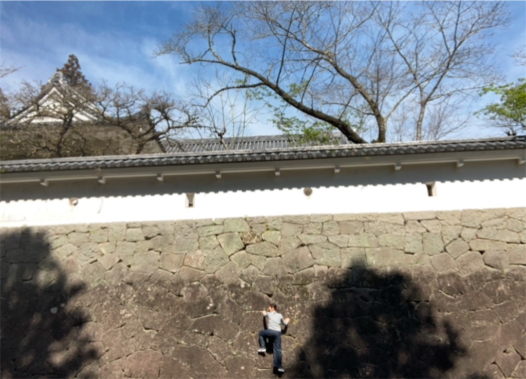 f:id:michiko_0609:20250209185925j:image