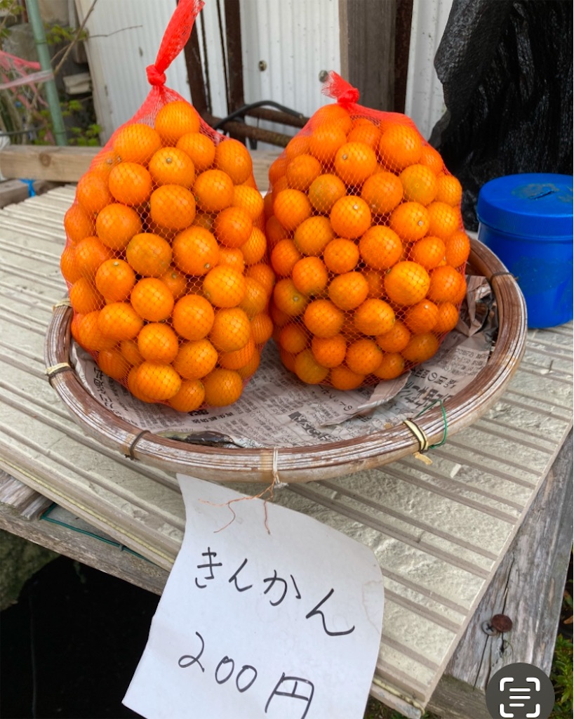 f:id:michiko_0609:20250209185928j:image