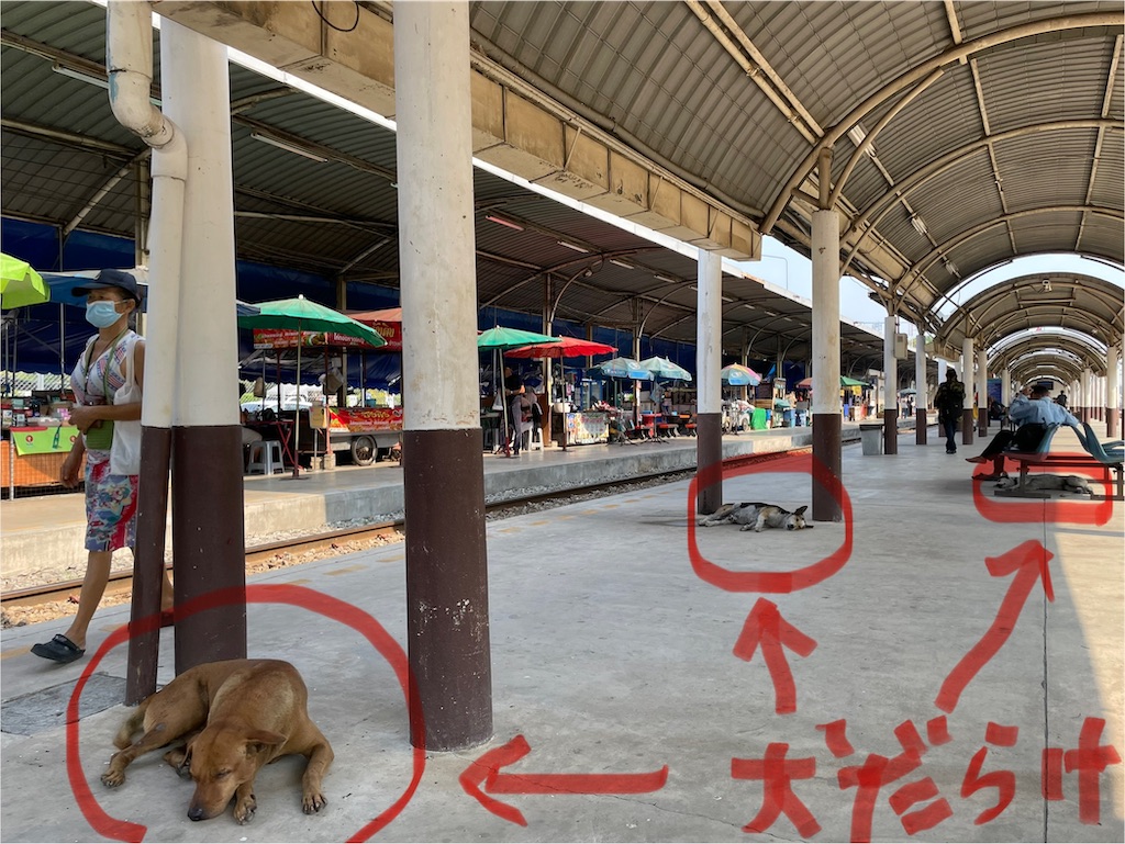 f:id:michiko_0609:20250302185515j:image