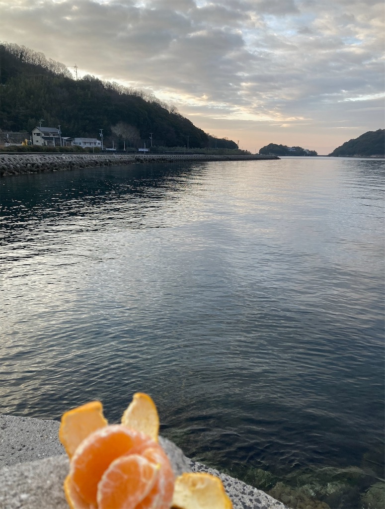f:id:michiko_0609:20250307201923j:image