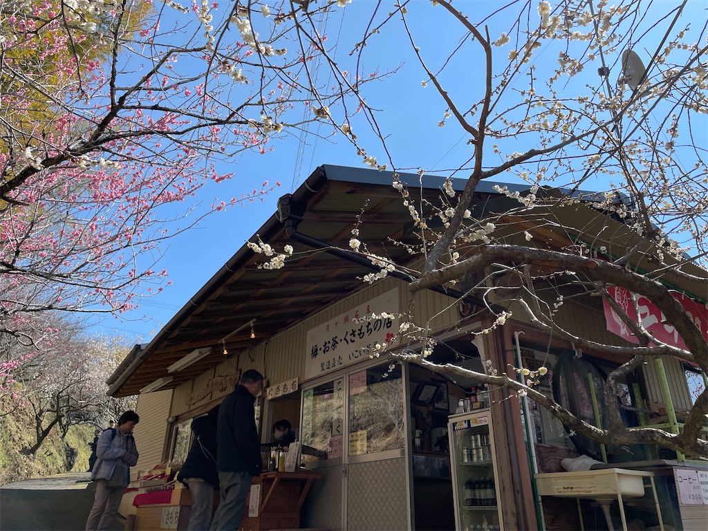 f:id:michiko_0609:20250320194755j:image