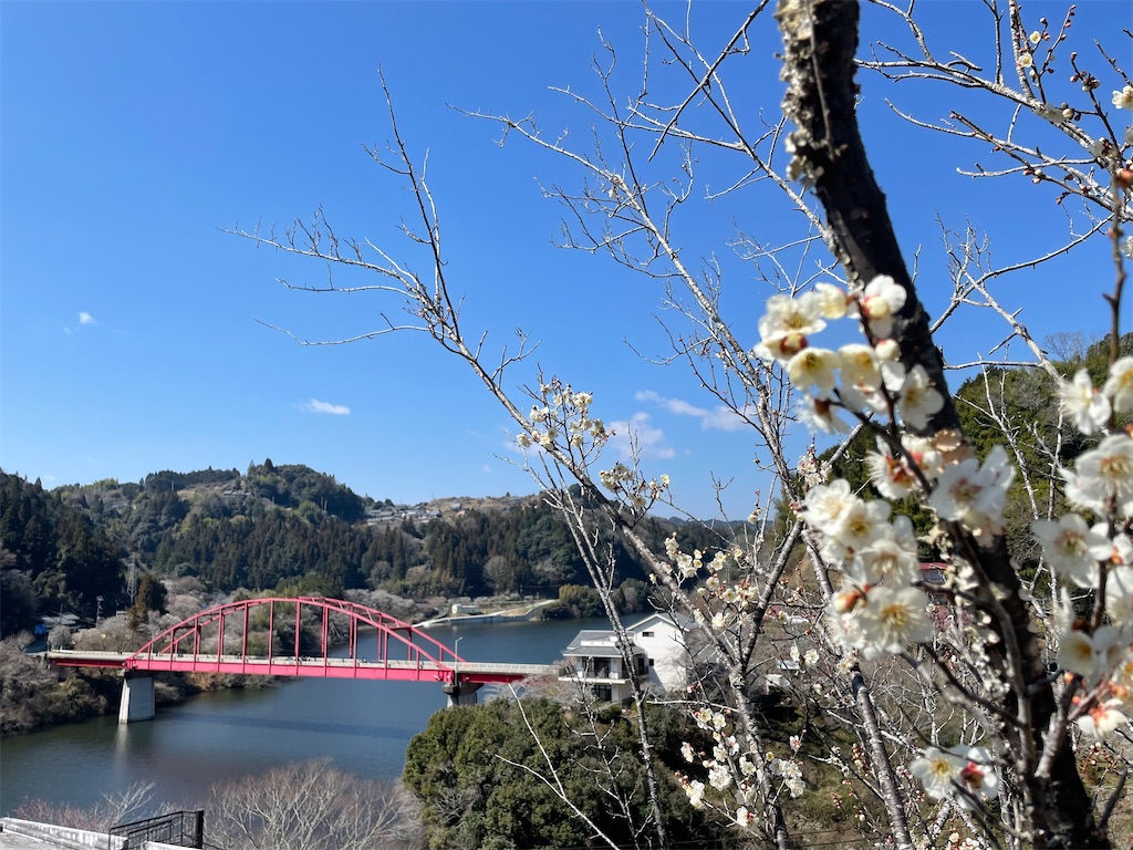 f:id:michiko_0609:20250320194803j:image