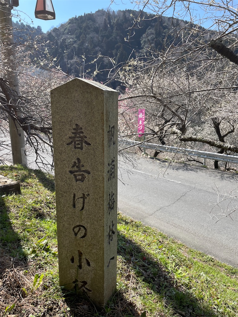 f:id:michiko_0609:20250320194814j:image
