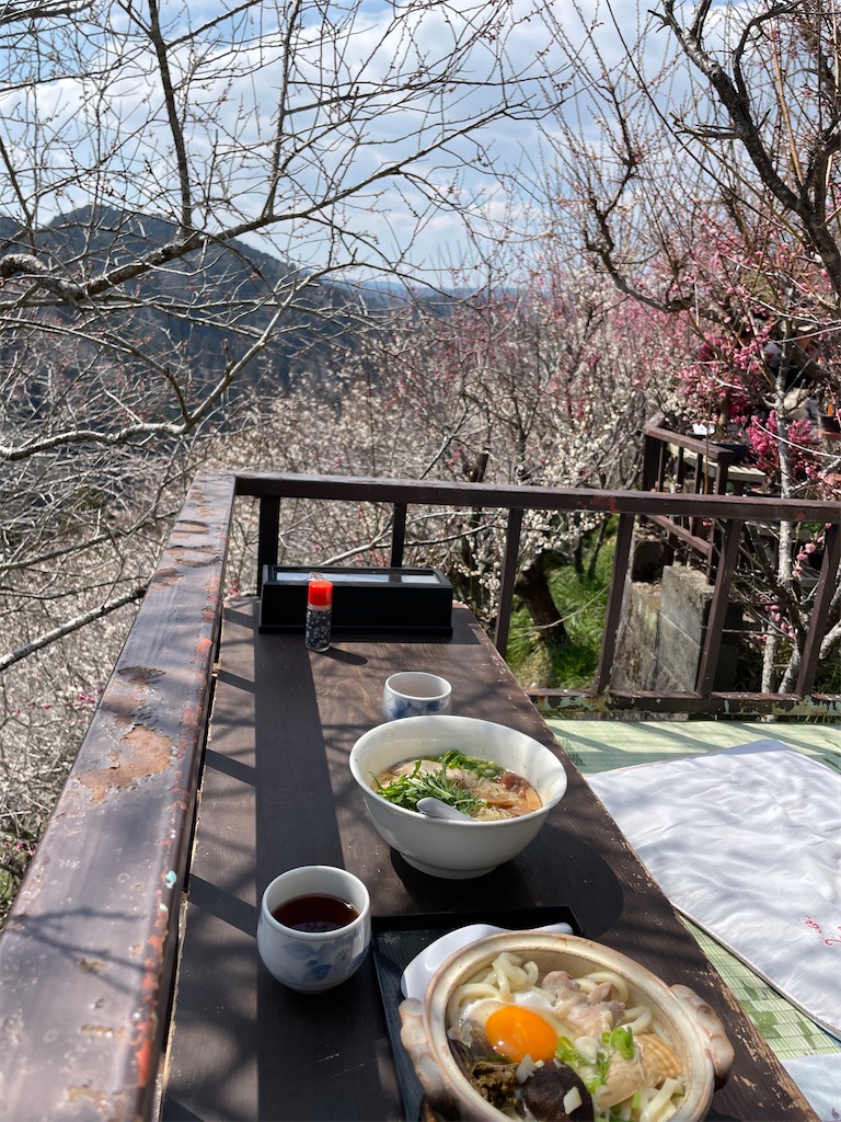 f:id:michiko_0609:20250320195334j:image