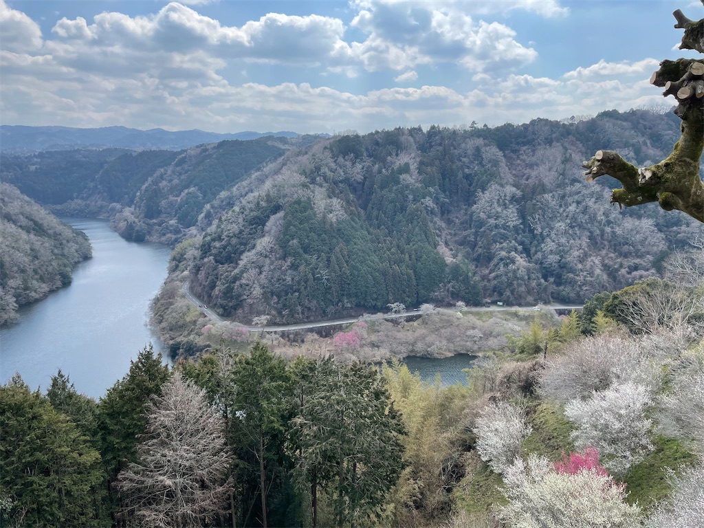 f:id:michiko_0609:20250320195338j:image