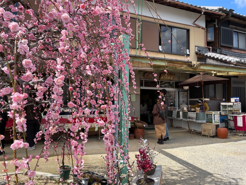 f:id:michiko_0609:20250320200439j:image