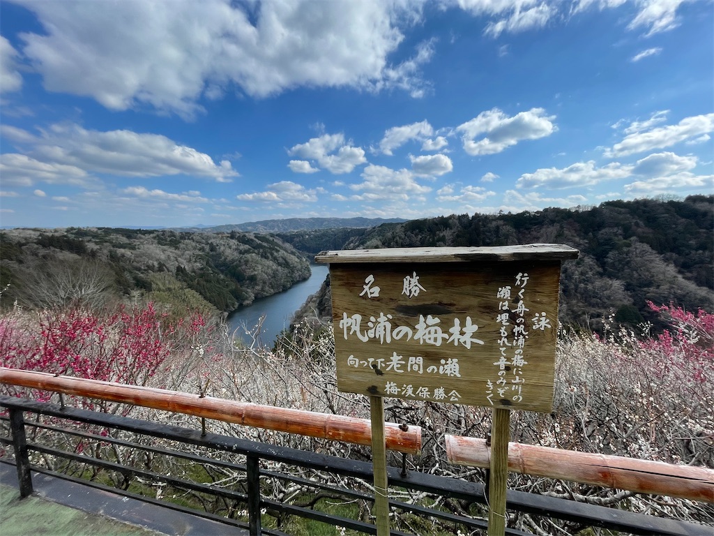 f:id:michiko_0609:20250320200519j:image