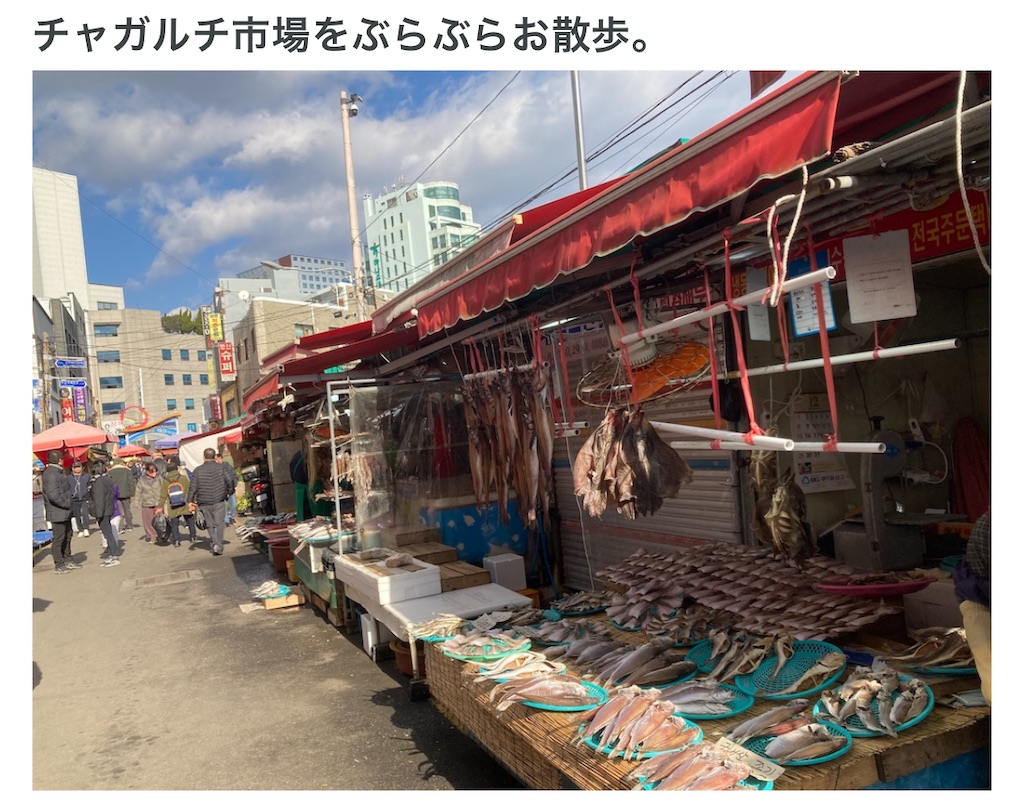 f:id:michiko_0609:20250326185337j:image