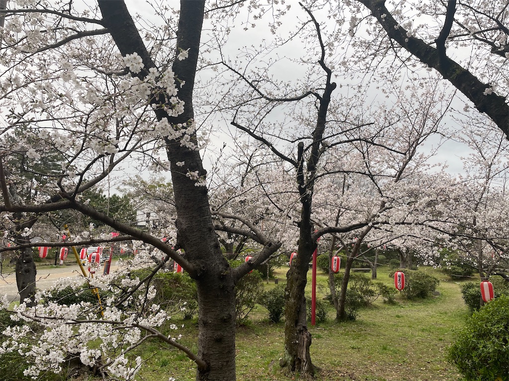 f:id:michiko_0609:20250416081916j:image