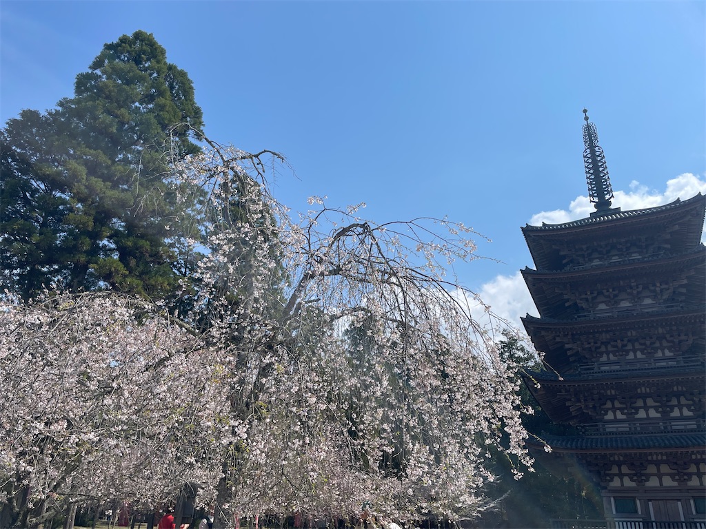 f:id:michiko_0609:20250416090722j:image