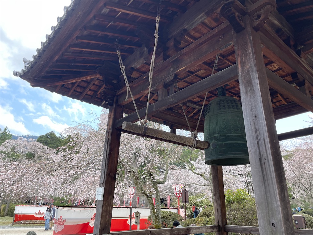 f:id:michiko_0609:20250416091125j:image