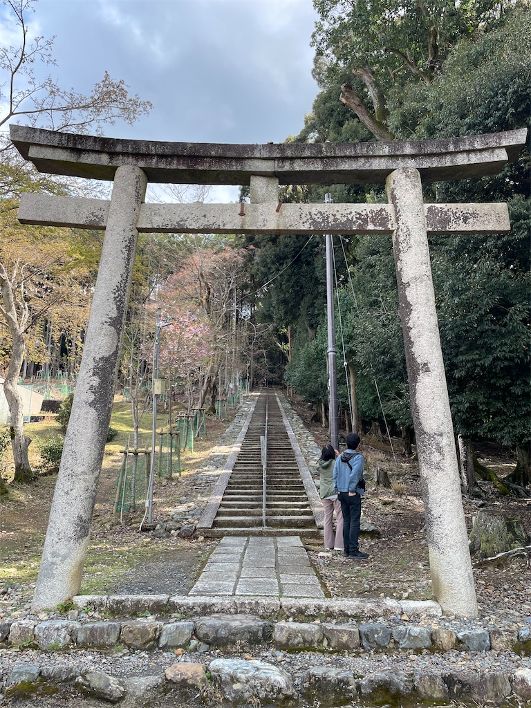 f:id:michiko_0609:20250416091128j:image