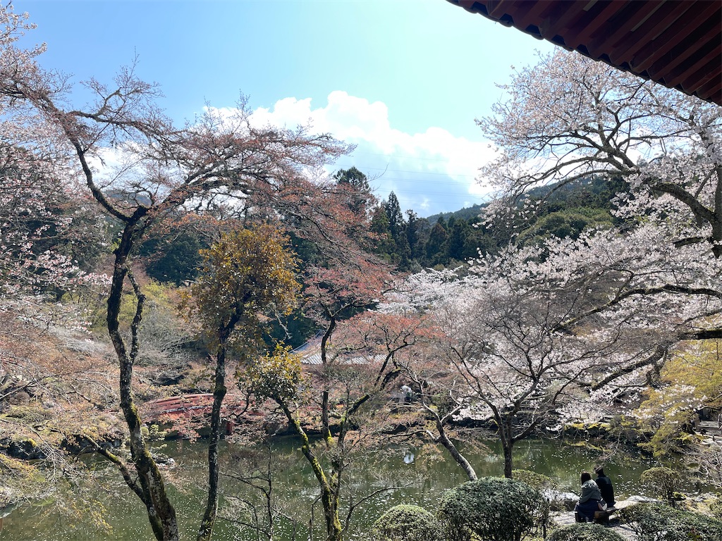 f:id:michiko_0609:20250416091132j:image
