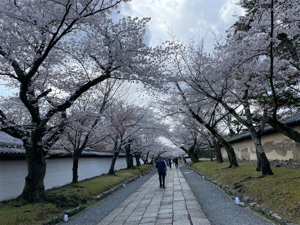 f:id:michiko_0609:20250416091136j:image