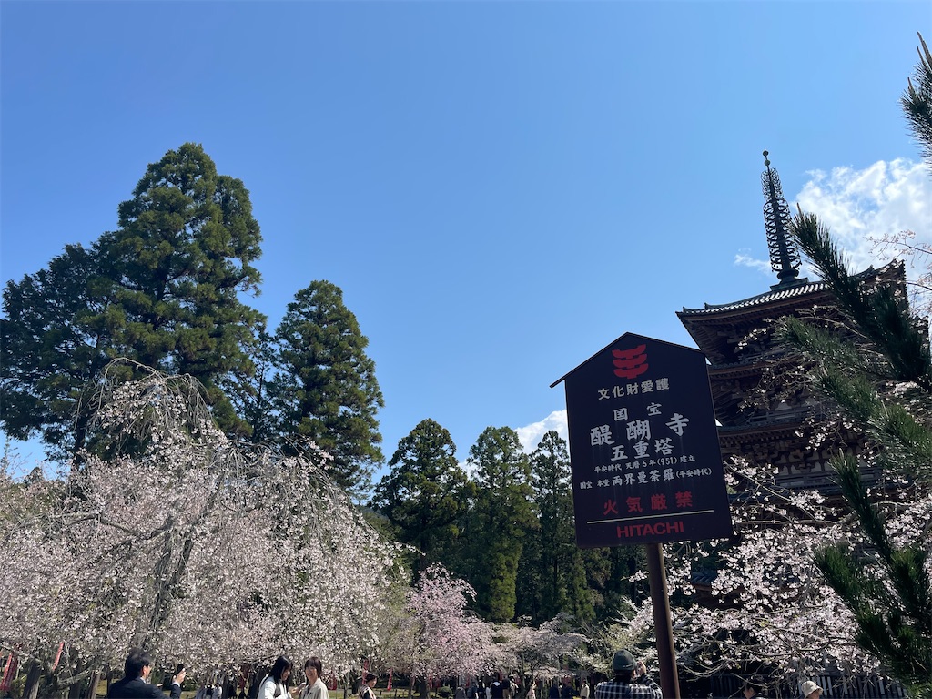 f:id:michiko_0609:20250416091150j:image