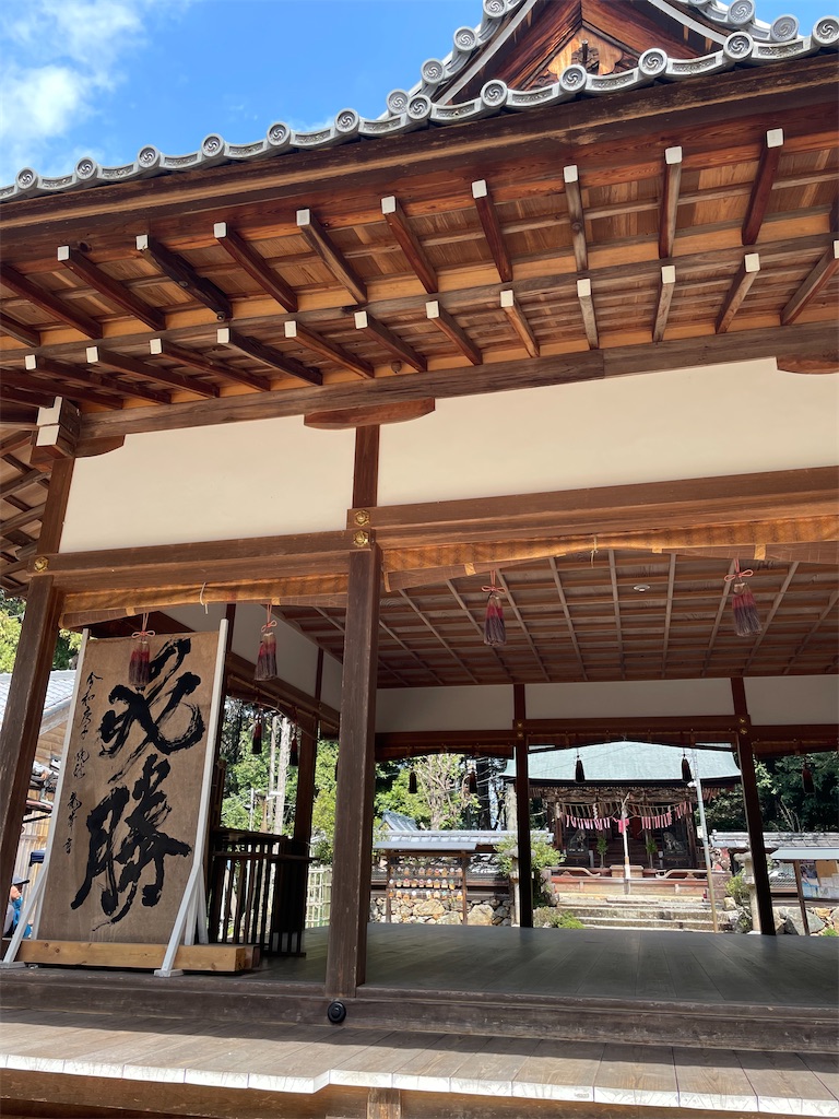 f:id:michiko_0609:20250416091157j:image