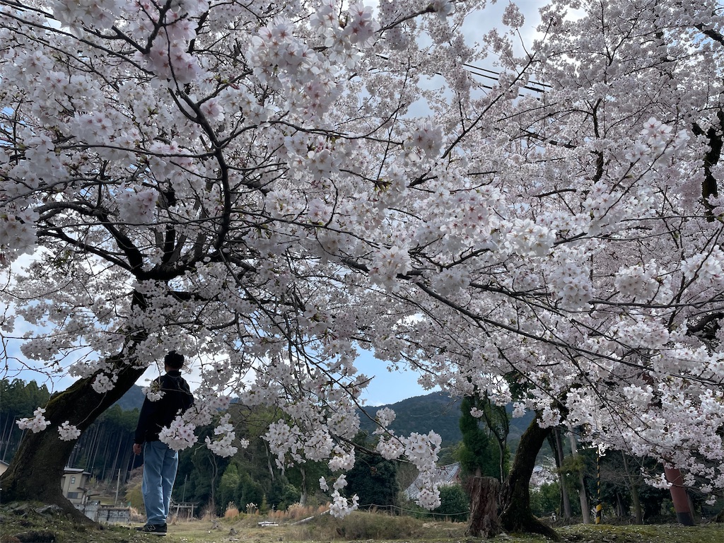 f:id:michiko_0609:20250416123001j:image