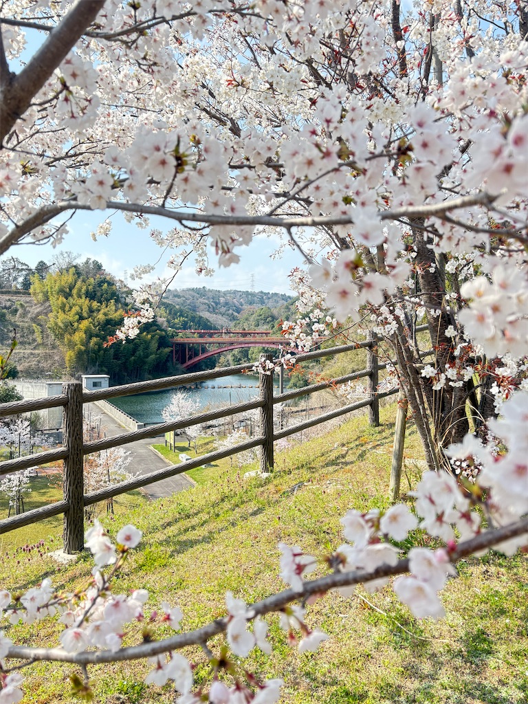 f:id:michiko_0609:20250416132854j:image