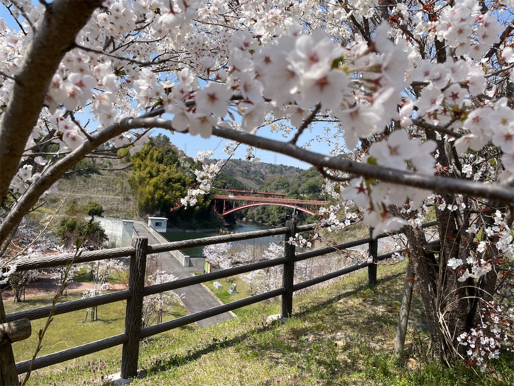 f:id:michiko_0609:20250416133644j:image