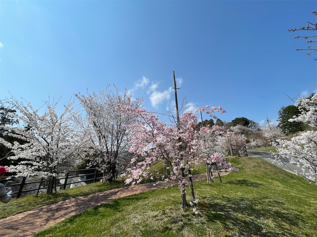 f:id:michiko_0609:20250416134405j:image