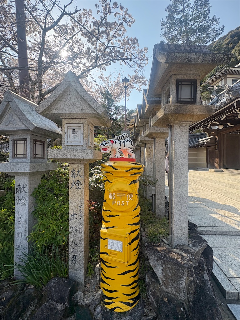 f:id:michiko_0609:20250416135507j:image