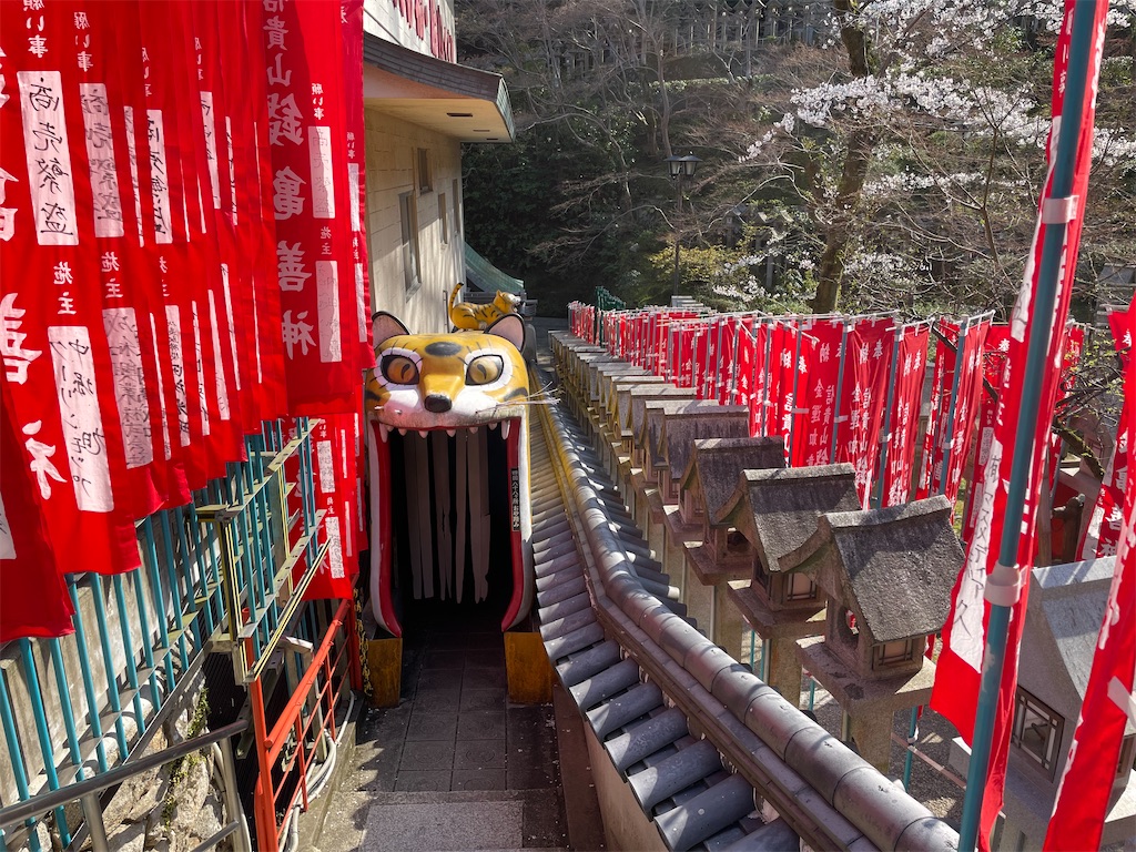 f:id:michiko_0609:20250416135511j:image