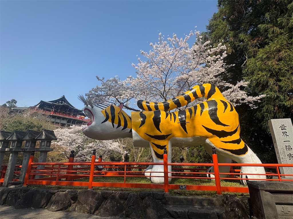 f:id:michiko_0609:20250416135519j:image