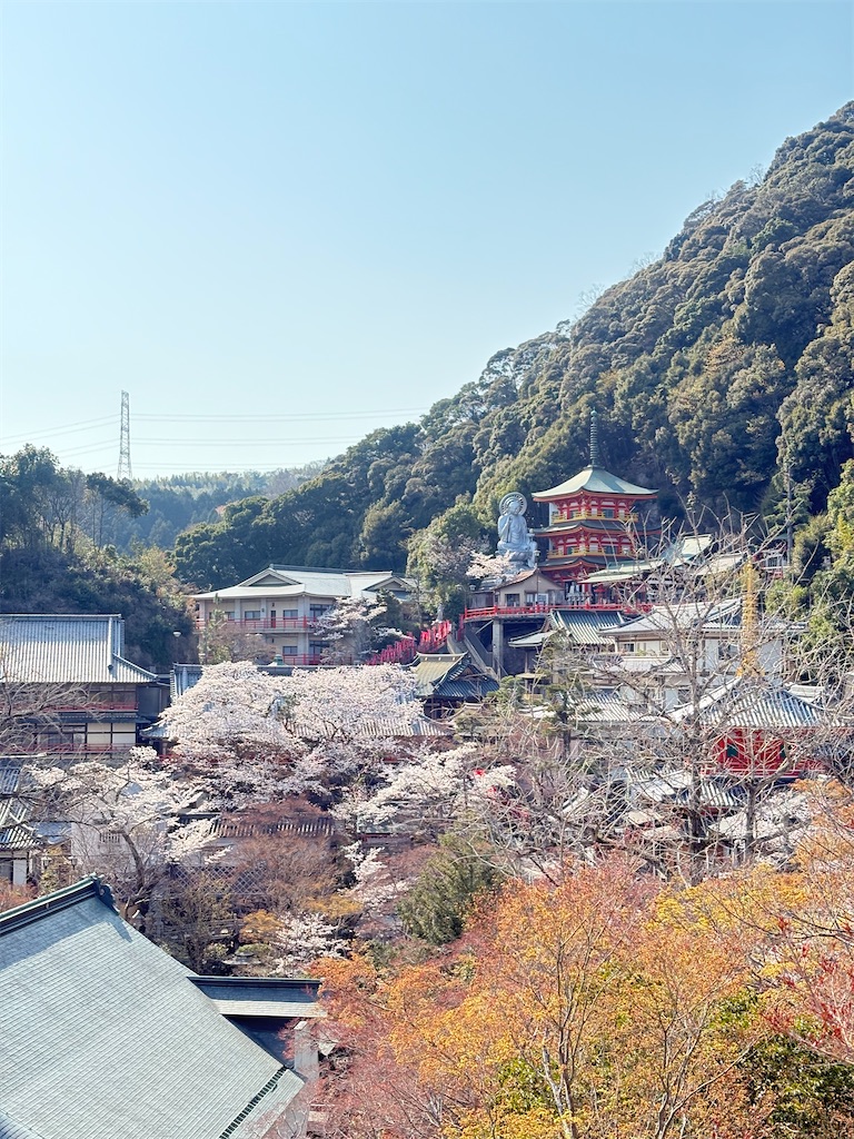 f:id:michiko_0609:20250416135523j:image