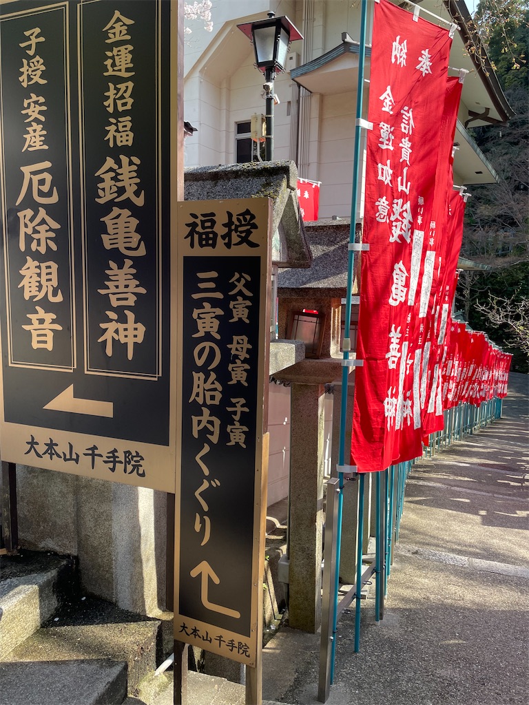 f:id:michiko_0609:20250416135531j:image