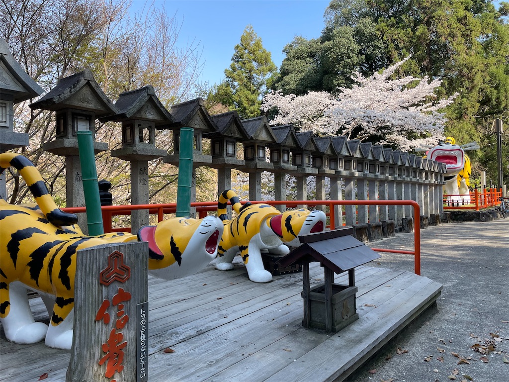 f:id:michiko_0609:20250416135542j:image