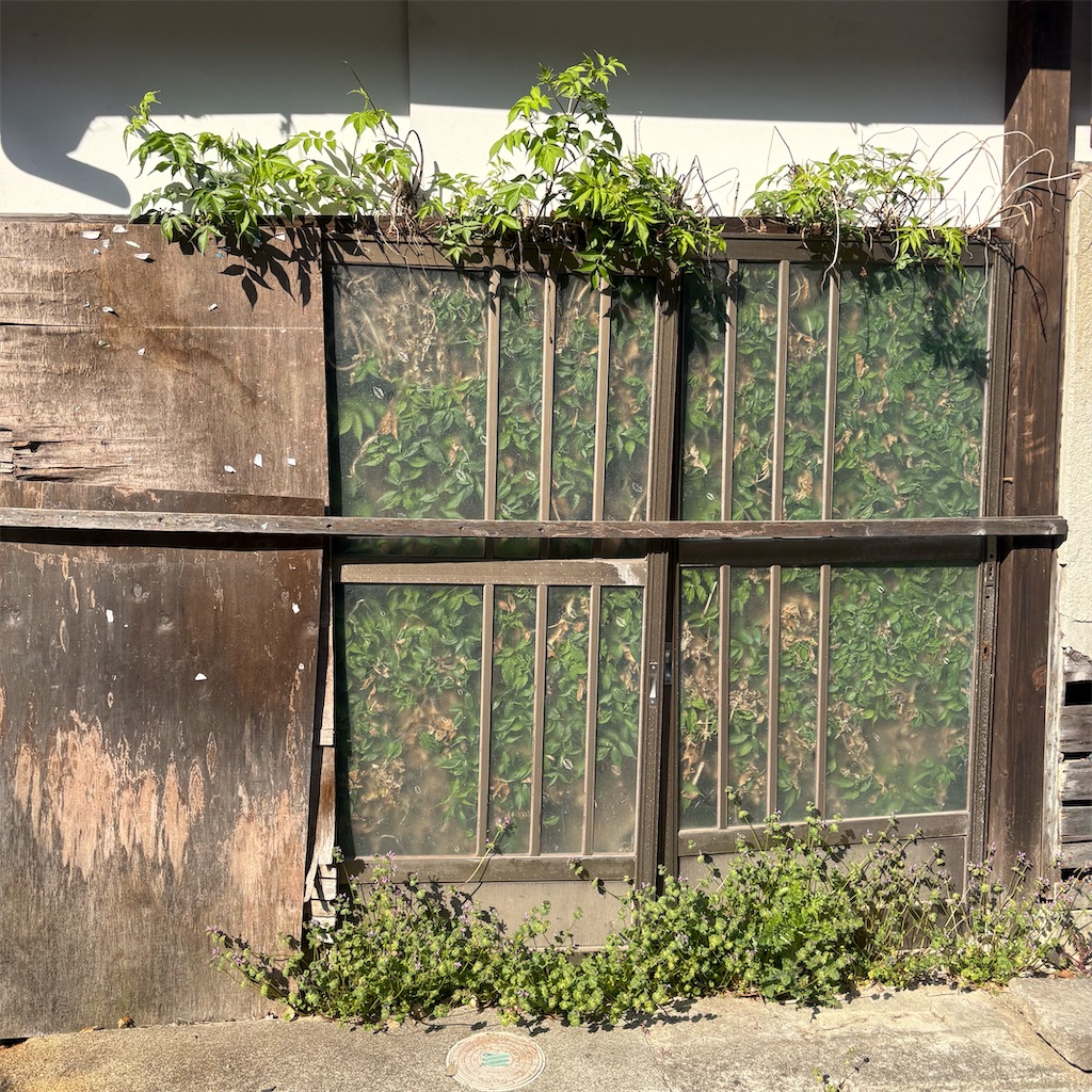 f:id:michiko_0609:20250416135546j:image