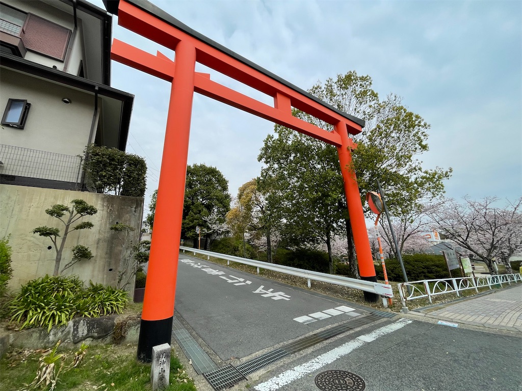f:id:michiko_0609:20250416141254j:image