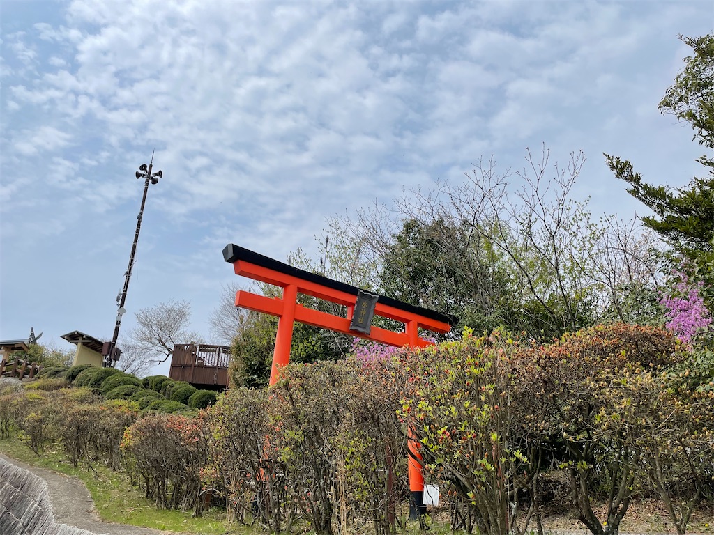 f:id:michiko_0609:20250416141305j:image