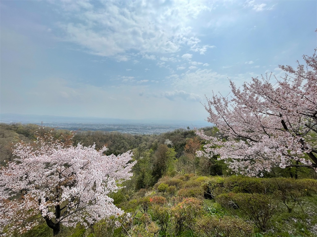 f:id:michiko_0609:20250416141308j:image