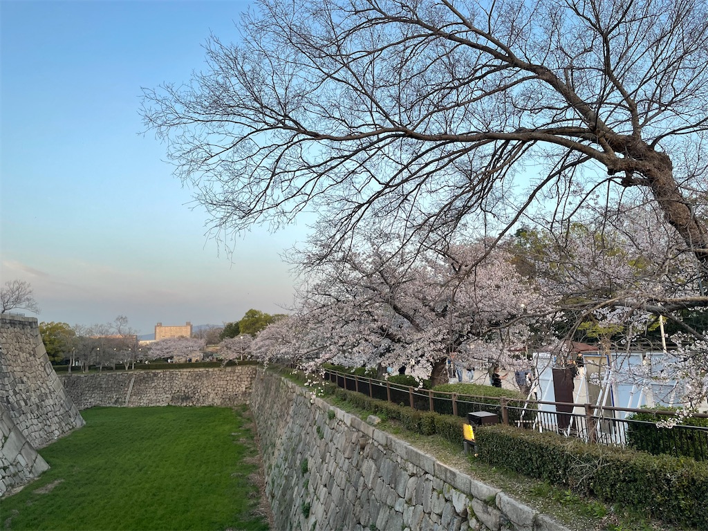 f:id:michiko_0609:20250417080736j:image