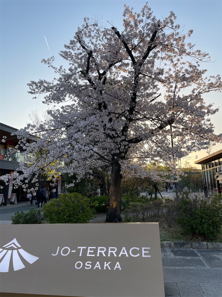 f:id:michiko_0609:20250417080739j:image