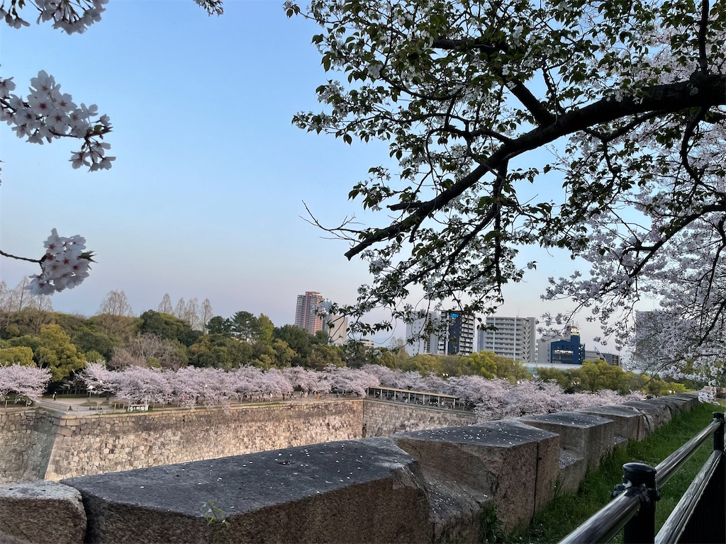f:id:michiko_0609:20250417080930j:image
