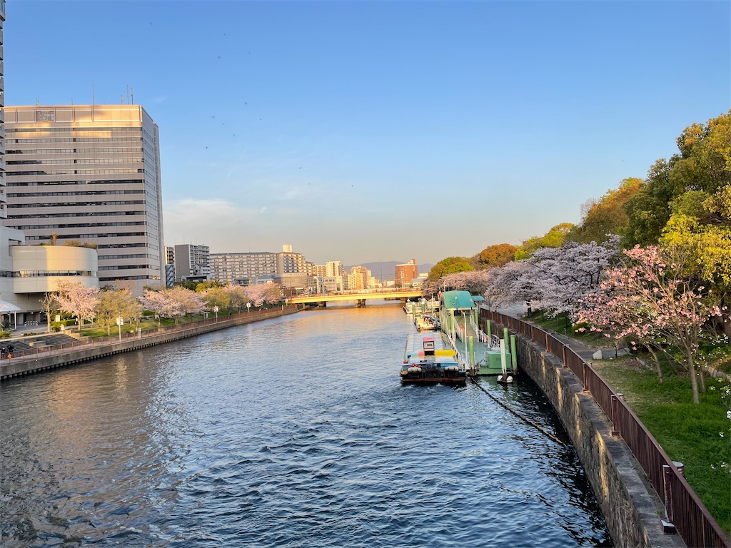 f:id:michiko_0609:20250417080936j:image