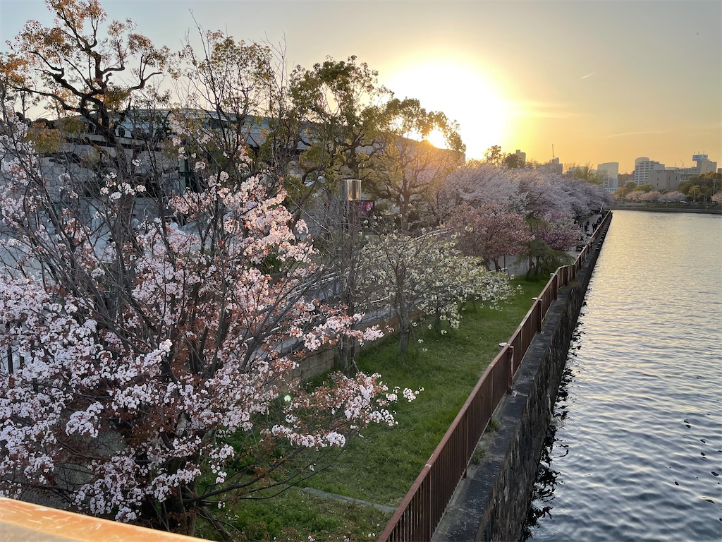 f:id:michiko_0609:20250417080939j:image