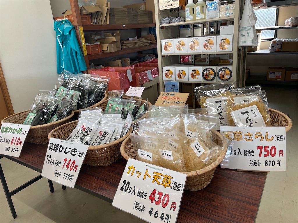 f:id:michiko_0609:20250421060320j:image