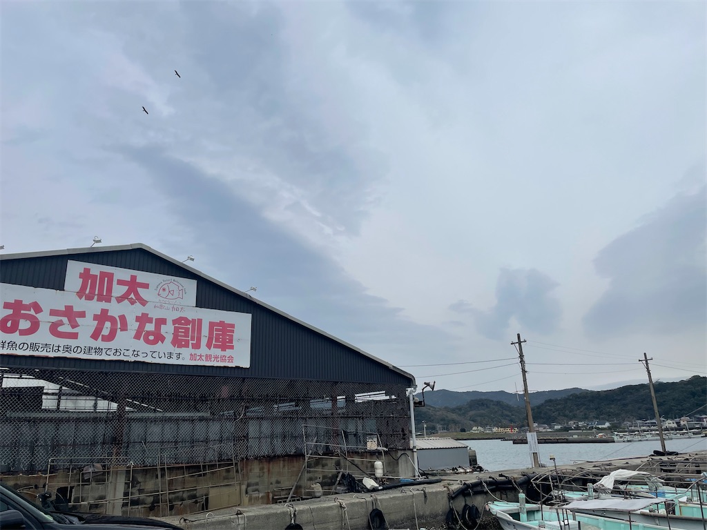 f:id:michiko_0609:20250421061455j:image