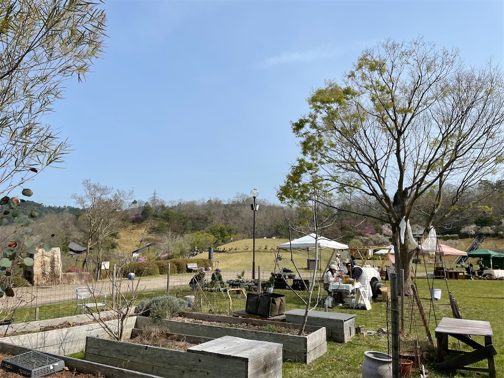 f:id:michiko_0609:20250421153113j:image
