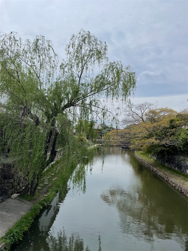f:id:michiko_0609:20250421153156j:image