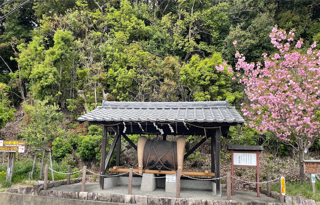 f:id:michiko_0609:20250421153230j:image