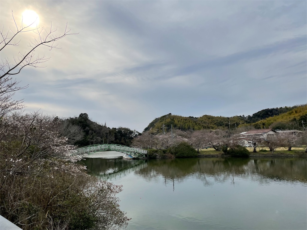 f:id:michiko_0609:20250423075123j:image