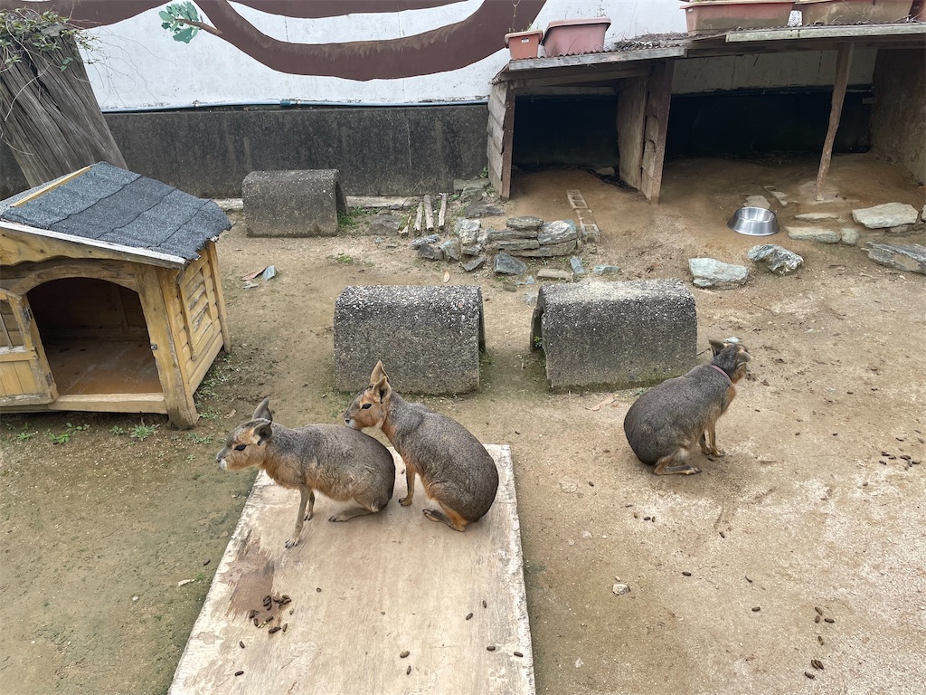 f:id:michiko_0609:20250423075136j:image