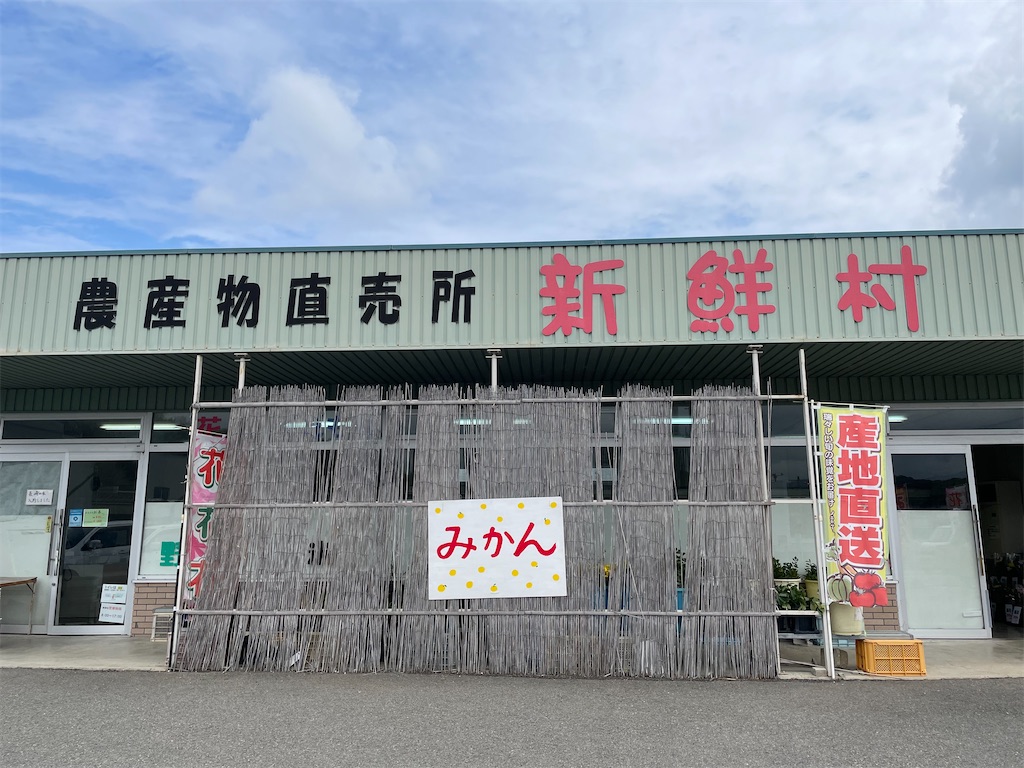 f:id:michiko_0609:20250423075145j:image